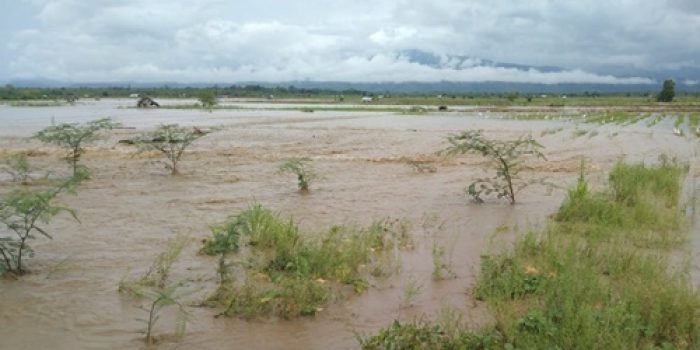 Banjir dan Angin Kencang di Pulau Buru, Puluhan Rumah Terdampak