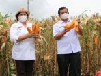 Bupati Karo Targetkan 2021 Produksi Jagung Meningkat Dibanding 2020