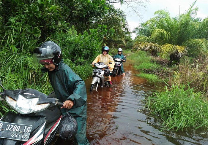 Jalan sempit yang digenangi air, musti ditempuh menuju SDN 18, Desa Sungai Dungun, Kecamatan Paloh, Kabupaten Sambas, Kalimantan Barat. [Foto HAD|Rienews.com]