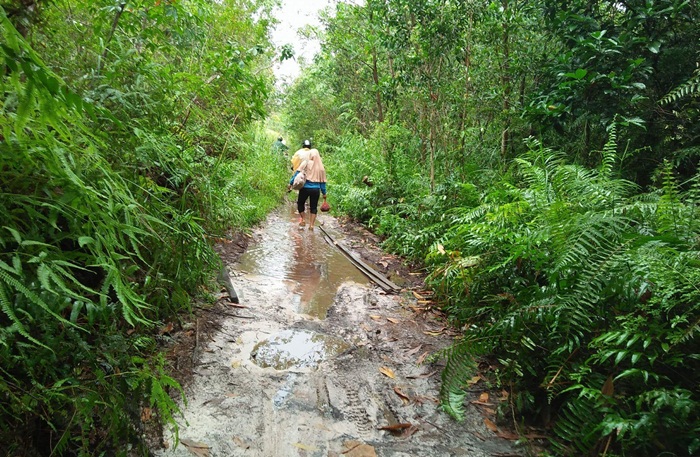 Jalan sambas