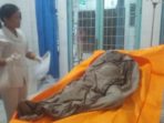 Rehulina Ditemukan Tewas Di Kamar Hotel Arita