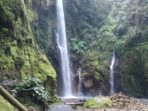 Harimau Sumatra Ditemukan di Air Terjun Dua Warna Sibolangit