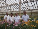 Desa Seribu Bunga Masuk Kategori Desa Terbaik Nasional