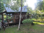 Penginapan wisata Tangkahan. Foto Hasby | Rienews.com.