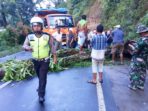 Jalur Lintas Karo-Aceh Terhambat Pohon Tumbang
