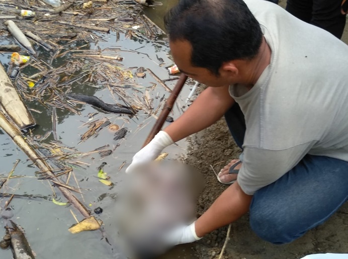 Kondisi mayat bayi perempuan yang ditemukan pemancing di sungai Lau Bengap, Kecamatan Tigabinanga, Kabupaten Karo, Sumatera Utara, Minggu 16 Juni 2019. Foto Istimewa.