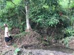 Sempat Dianggap Gila, Mbah Sadiman Dinobatkan Jadi Sosok Inspirasi Lingkungan