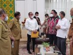 Soal Jalan Karo-Deli Serdang, Gubsu Akan Fasilitasi ke Menteri LHK