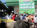 Sambut Hari Raya Idul Adha, Bupati Karo Serahkan Satu Ekor Sapi