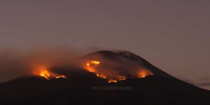Erupsi Gunung Ili Lewotolok Sebabkan Kebakaran Hutan dan Lahan