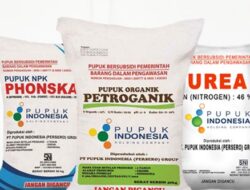 Pemerintah Hanya Mampu Anggarkan 8-9 Ton Subsidi Pupuk