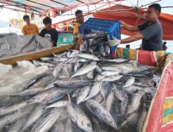 Tujuh Tahapan Jelang Pemberlakuan Penuh Kebijakan Penangkapan Ikan Terukur 2024
