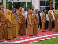 Tenaga Honorer 5 Tahun Kerja Harus Diangkat PPPK Tanpa Tes