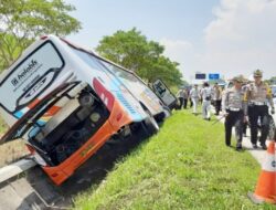 Microsleep Diduga Penyebab Kecelakaan Bus Rosalia di Tol Batang-Semarang, 7 Orang Tewas