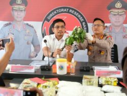 Penjelasan Polda Kalsel Soal Viral Mabuk Kecubung