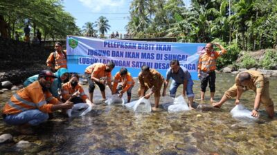 PT Agincourt Resources (PTAR) melepas bibit ikan di Sungai Garoga, Batang Toru, Tapanuli Selatan, Sumatra Utara. Sejak tahun 2022 hingga kini PTAR konsisten mengembangkan lubuk larangan di Batang Toru. Foto Dok PTAR.