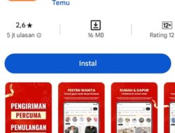 Ini Alasan Kementerian Kominfo Blokir Aplikasi Marketplace Online TEMU