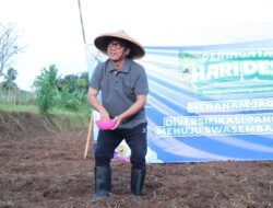 Relasi Kekuasaan di Pilbup Serang, MK Batalkan Kemenangan Istri Menteri Desa