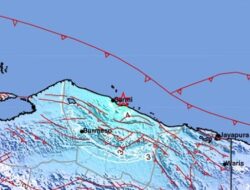 Gempa Dangkal 5,3 Magnitudo Guncang Sarmi Papua