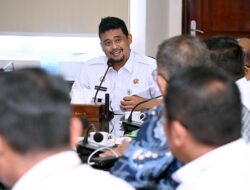 Gubsu Bobby Putuskan Penanganan Hama Lalat Jeruk Karo Secara Masif