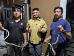 Gerak Cepat Petugas Damkar Karo Atasi Masalah Warga di Perumahan Ichiwani