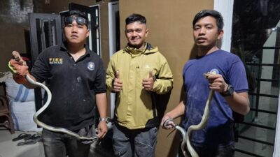 Gerak Cepat Petugas Damkar Karo Atasi Masalah Warga di Perumahan Ichiwani