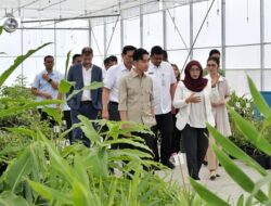 Gibran Apresiasi Inovasi Riset dan Hilirisasi Produk TSTH2 Humbahas