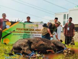ICMI Berbagi Qurban Serentak se-Indonesia, Ribuan Keluarga Menerima Manfaat