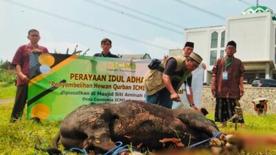ICMI Berbagi Qurban Serentak se-Indonesia, Ribuan Keluarga Menerima Manfaat