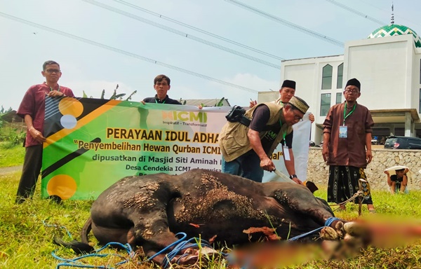 Ketua LAZIS ICMI Pusat sekaligus Ketua Panitia Penyelenggaraan Perayaan Hari Raya Idul Adha ICMI tahun 2025, Muzakkir Muannas Tovago menyembelih sapi kurban dalam kegiatan ICMI Berbagi Qurban, dilakukan serentak di Indonesia,dipusatkan di Masjid Siti Aminah Hadiwardoyo, Desa Cendekia ICMI, Leuwisadeng, Kabupaten Bogor, Jawa Barat, pada Sabtu, 7 Juni 2025.