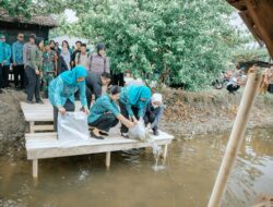 Kahiyang Ayu Tabur 15.000 Benih Ikan, Dorong Swasembada Pangan di Langkat