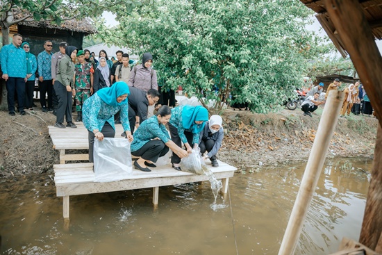 Ketua TP PKK Sumut, Kahiyang Ayu menabur 15.000 benih ikan nila di Desa Pematangserai, Kecamatan Tanjungpura, Kabupaten Langkat, Selasa, 5 Agustus 2025. Foto Istimewa.