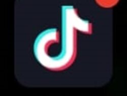 Mengapa Komdigi Suspend Tanda Daftar PSE TikTok