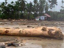 Presiden Prabowo Instruksikan Penanganan Bencana Sumatra Skala Prioritas Nasional