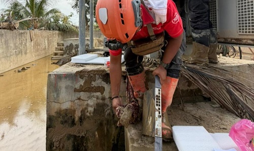 Teknisi Telkom melakukan pemulihan jaringan di lokasi terdampak bencana Sumatra, pasca longsor dan banjir bandang di Aceh, Sumatra Utara dan Sumatra Barat.