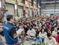 Diduga Korban Sindikat Scamming Kamboja, Ribuan WNI Minta Dipulangkan